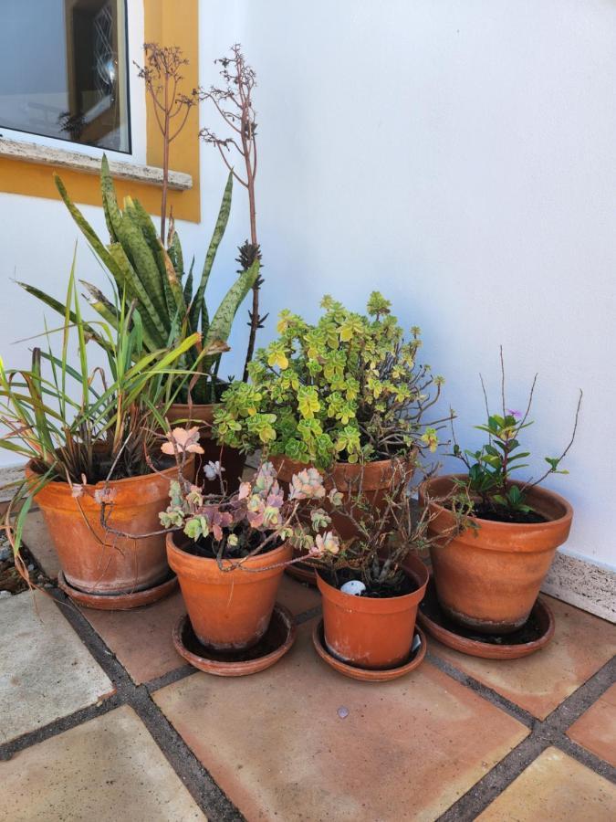 Quinta Das Amendoas Carvoeiro  Eksteriør bilde